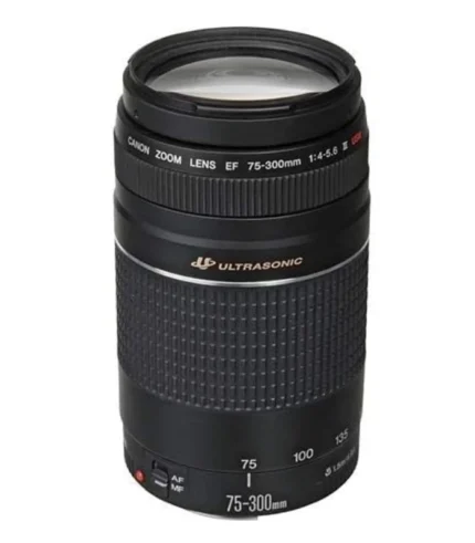 Canon EF 75-300mm f/4-5.6 III Telephoto Zoom Lens